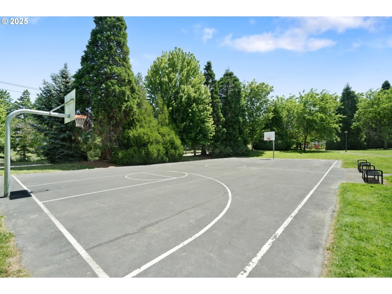 Community Basketball