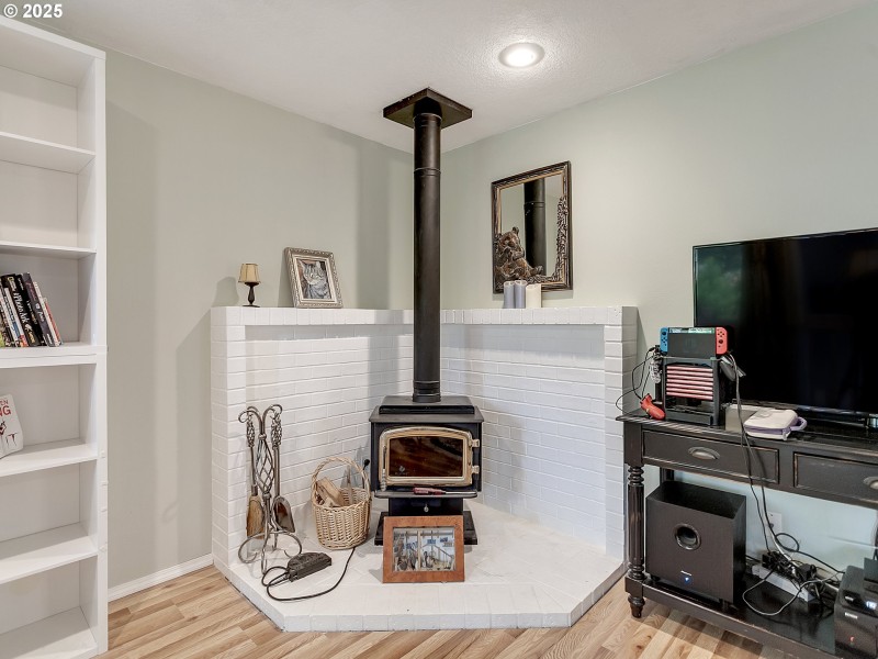 Fireplace Wood Burning Stove/Insert