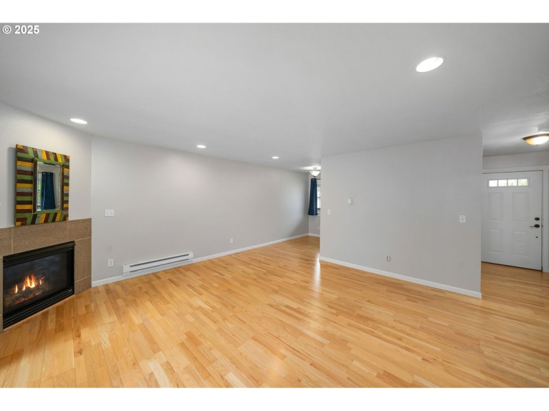 Living Room/Entrance