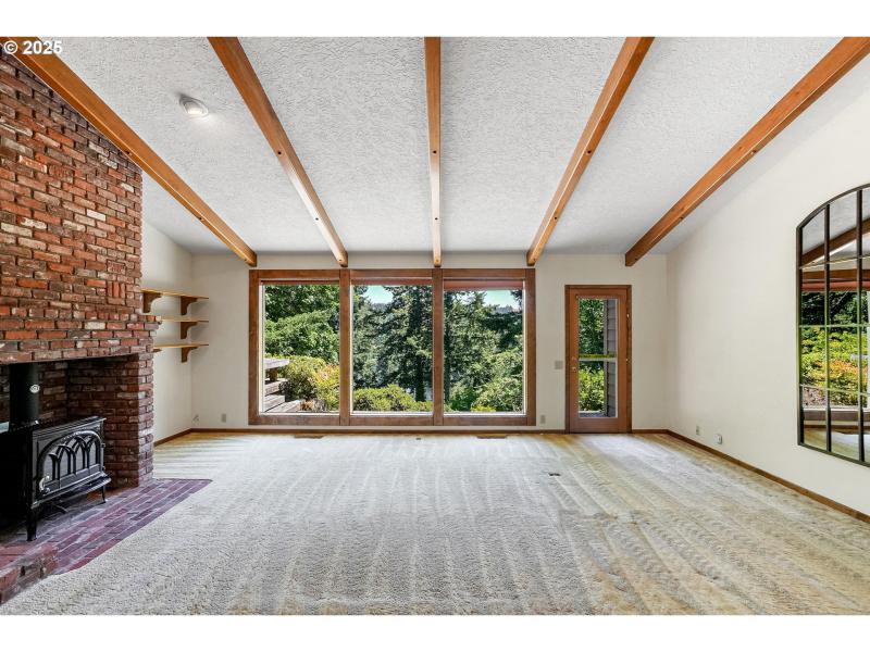 Fireplace Wood Burning Stove/Insert