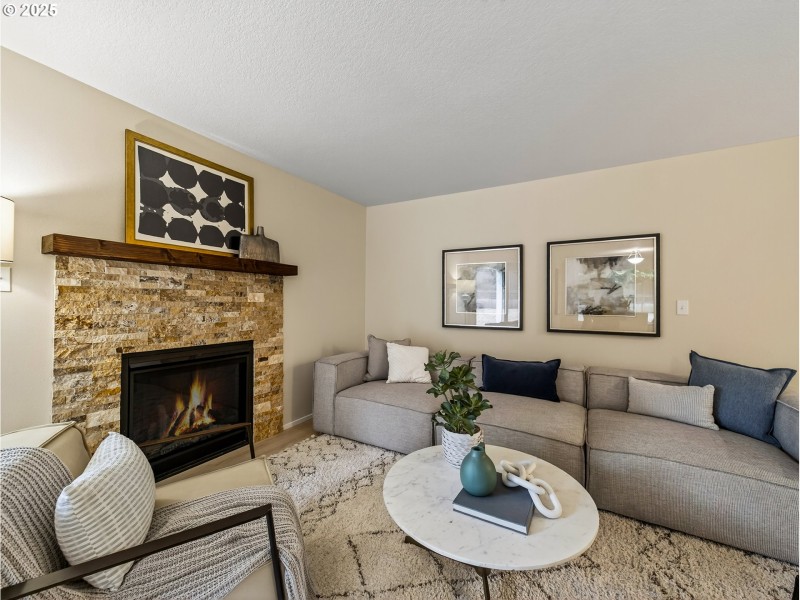 Fireplace Insert