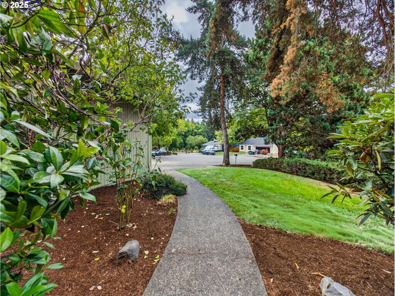 Yard