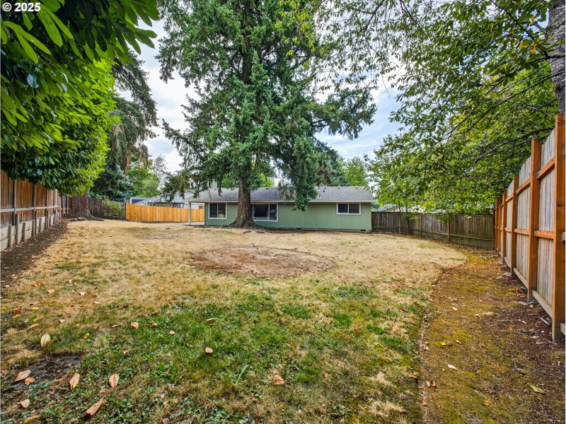 Backyard
