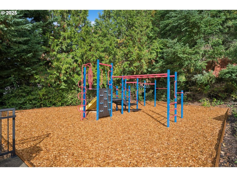 Community Playground