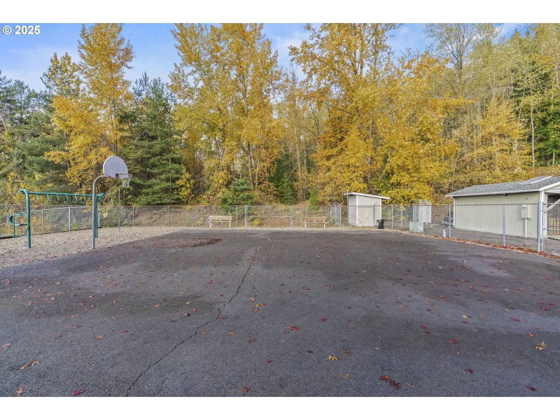 Community Basketball