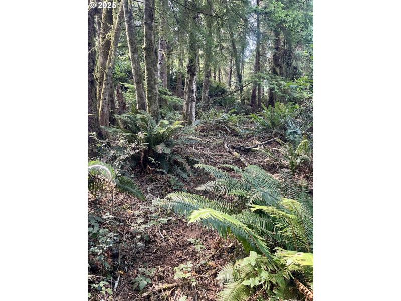 Approximate Property Lines