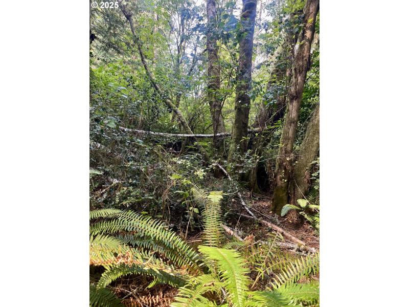 Approximate Property Lines