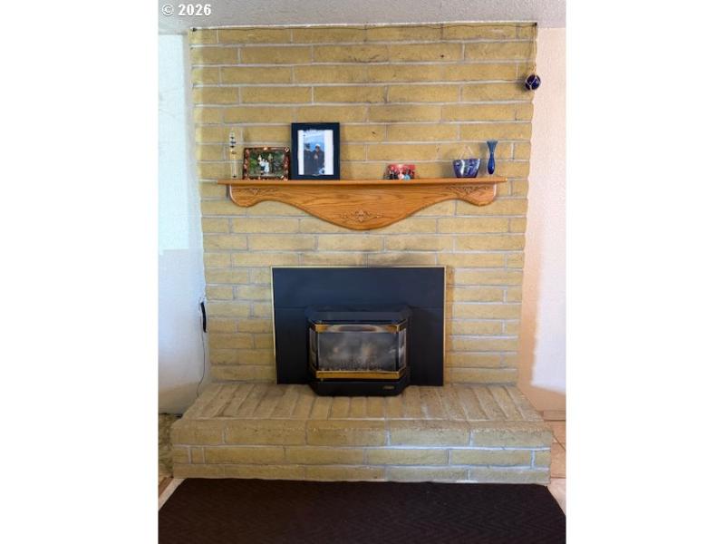 Fireplace Insert