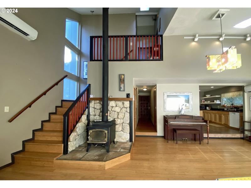 Fireplace Wood Burning Stove/Insert