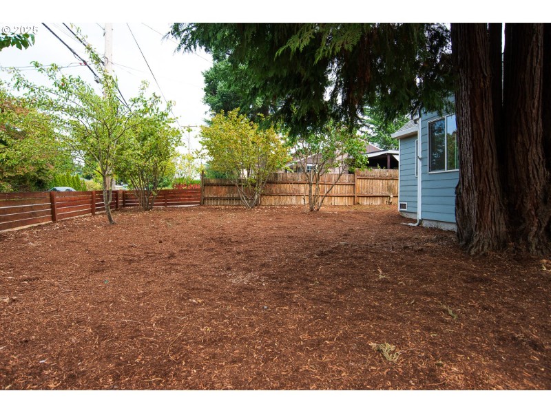 Front Yard