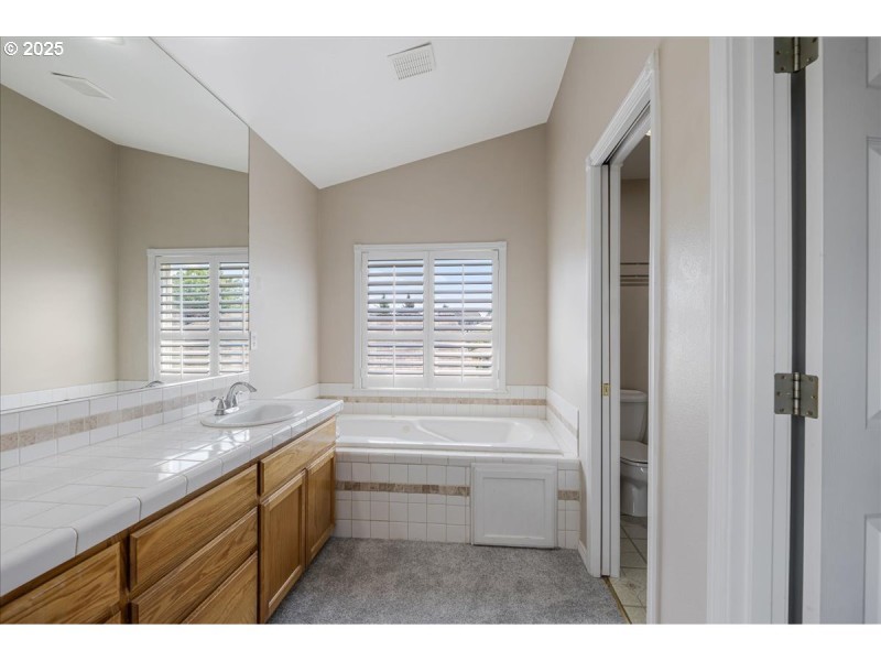 Owner's Suite Bathroom