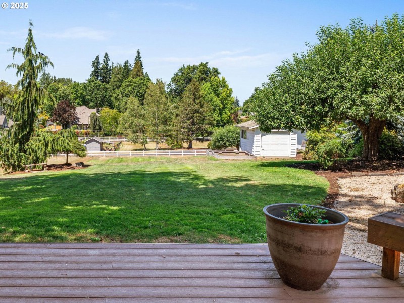 Backyard