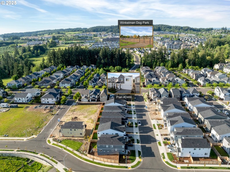 Drone View/UAV