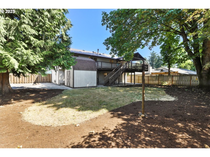 Backyard