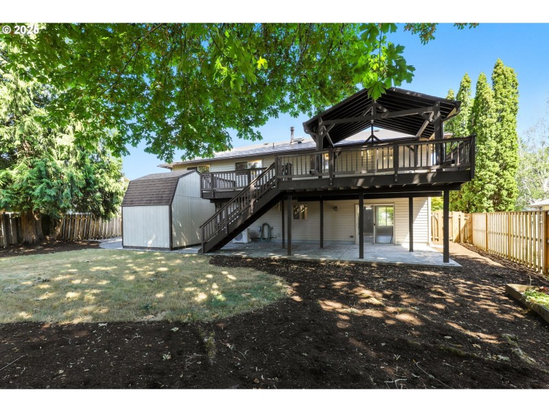 Backyard
