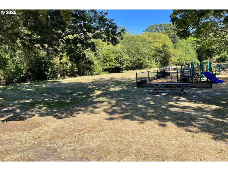 Neighborhood Park