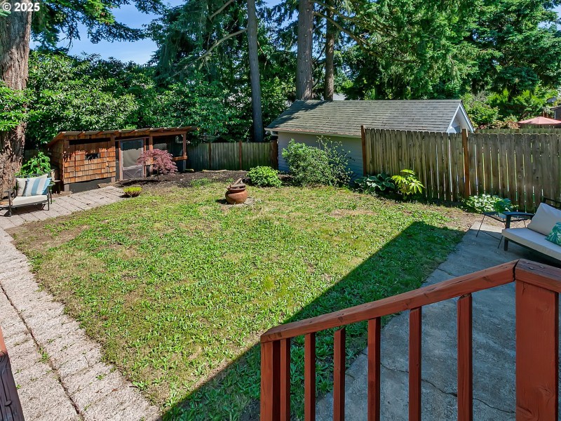 Backyard