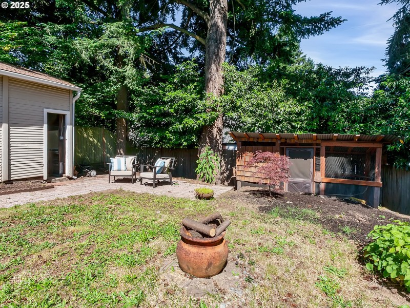 Backyard