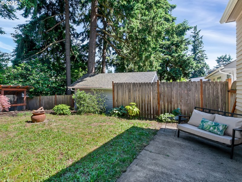 Backyard