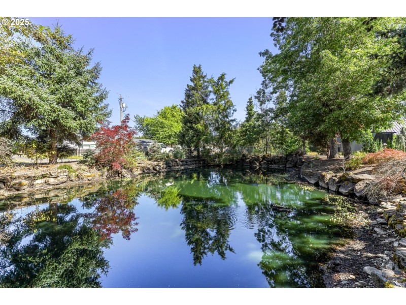 Pond