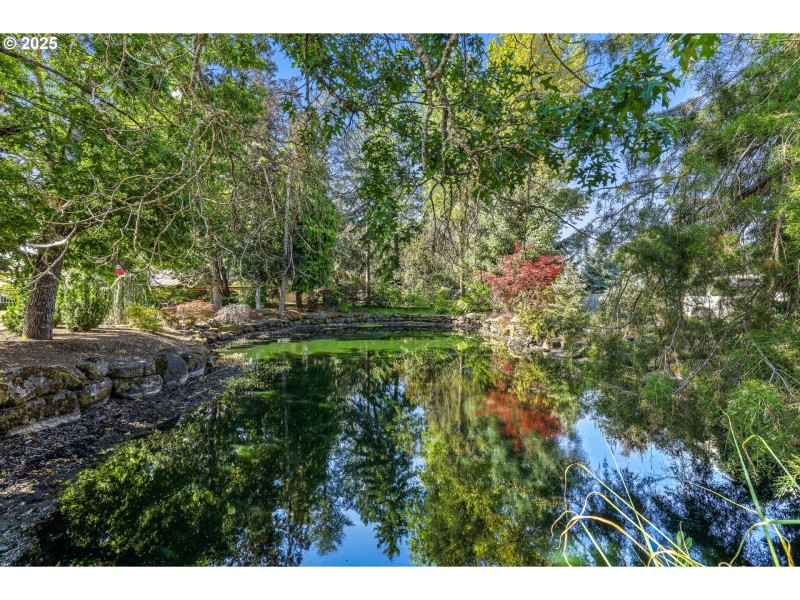 Pond