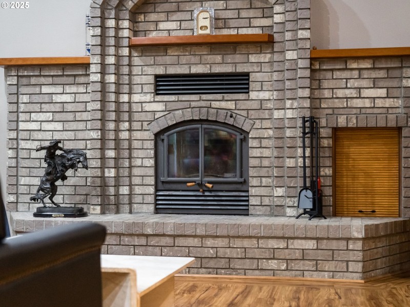 Fireplace Wood Burning Stove/Insert